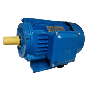 Motor Trifásico Delcrosa